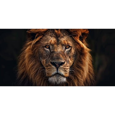 5 Piece Painting Art Lion